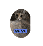 幸の1day（個別スタンプ：3）