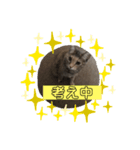 幸の1day（個別スタンプ：4）