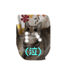 幸の1day（個別スタンプ：7）