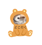 シンちゃんと会話（個別スタンプ：1）
