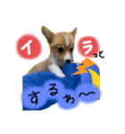 チロルくん☆（個別スタンプ：2）