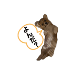 チロルくん☆（個別スタンプ：5）