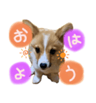 チロルくん☆（個別スタンプ：6）