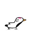 平和に生きたい鶴（個別スタンプ：9）