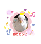 ぽんきちさんの2（個別スタンプ：2）
