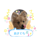 ぽんきちさんの2（個別スタンプ：6）