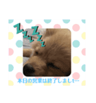 ぽんきちさんの2（個別スタンプ：8）