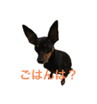 ミニピンラブラブ1（個別スタンプ：1）