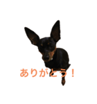 ミニピンラブラブ1（個別スタンプ：2）