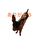 ミニピンラブラブ1（個別スタンプ：3）