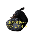 ミニピンラブラブ1（個別スタンプ：5）