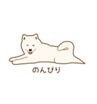サモエド子犬（個別スタンプ：2）