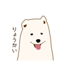 サモエド子犬（個別スタンプ：3）