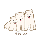 サモエド子犬（個別スタンプ：5）