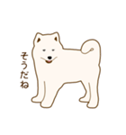 サモエド子犬（個別スタンプ：6）