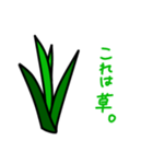これは草。（個別スタンプ：2）
