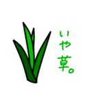 これは草。（個別スタンプ：3）
