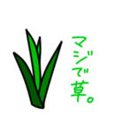 これは草。（個別スタンプ：5）