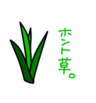 これは草。（個別スタンプ：7）