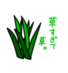 これは草。（個別スタンプ：13）