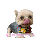 ラミ・ナナ・ミウ（個別スタンプ：3）