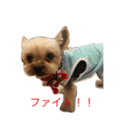 ラミ・ナナ・ミウ（個別スタンプ：4）