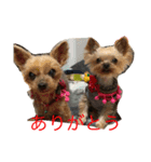 ラミ・ナナ・ミウ（個別スタンプ：6）