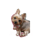 ラミ・ナナ・ミウ（個別スタンプ：7）