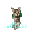 ラミ・ナナ・ミウ（個別スタンプ：8）
