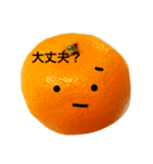 クールおみかんくん（個別スタンプ：6）