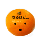 クールおみかんくん（個別スタンプ：8）