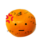 クールおみかんくん（個別スタンプ：12）