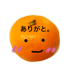 クールおみかんくん（個別スタンプ：13）