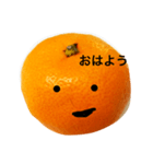 クールおみかんくん（個別スタンプ：14）