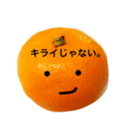 クールおみかんくん（個別スタンプ：16）