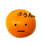 クールおみかんくん（個別スタンプ：17）