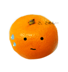 クールおみかんくん（個別スタンプ：18）