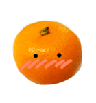 クールおみかんくん（個別スタンプ：19）