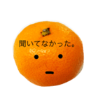 クールおみかんくん（個別スタンプ：21）