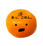 クールおみかんくん（個別スタンプ：22）