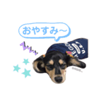 ひまわり時々餅（個別スタンプ：4）