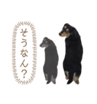 ひまわり時々餅（個別スタンプ：8）