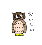 なんか目の方向がおかしいフクロウたち（個別スタンプ：8）