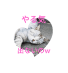 試しでつくってみました（個別スタンプ：5）