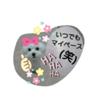 キュートなマルチーズ（個別スタンプ：7）