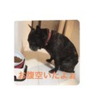 コタローこたろー（個別スタンプ：3）