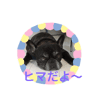 コタローこたろー（個別スタンプ：4）