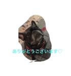 コタローこたろー（個別スタンプ：6）
