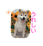 はなちゃんスタンプbyかの（個別スタンプ：3）