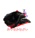 黒猫みぃちゃんのスタンプ（個別スタンプ：5）